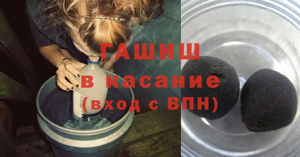 сатива Кулебаки