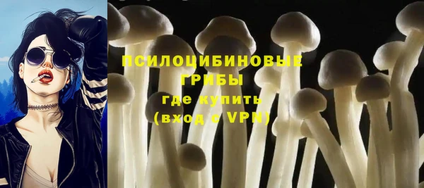 спиды Кукмор