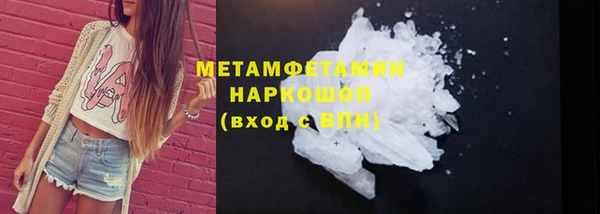 сатива Кулебаки