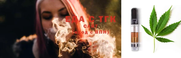 сатива Кулебаки