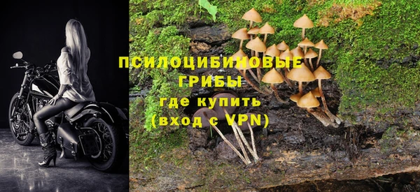 спиды Кукмор