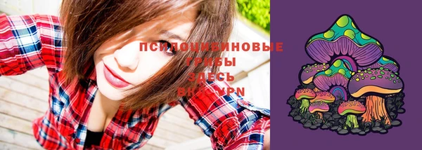 спиды Кукмор