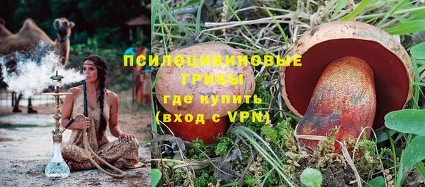 сатива Кулебаки