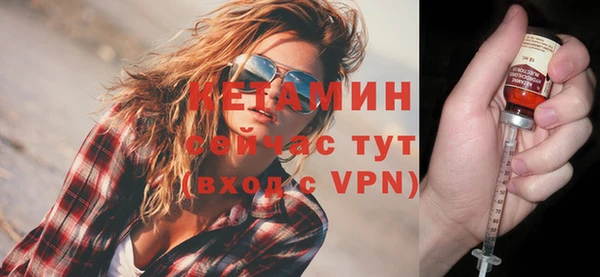 сатива Кулебаки