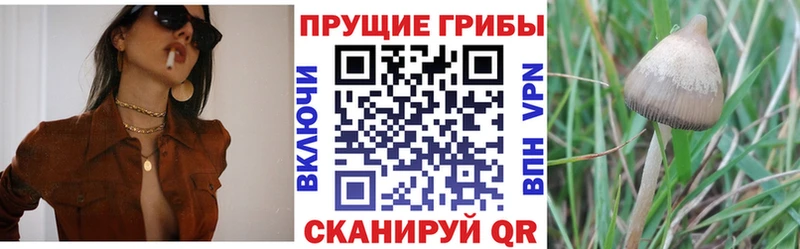Галлюциногенные грибы GOLDEN TEACHER  Тимашёвск 
